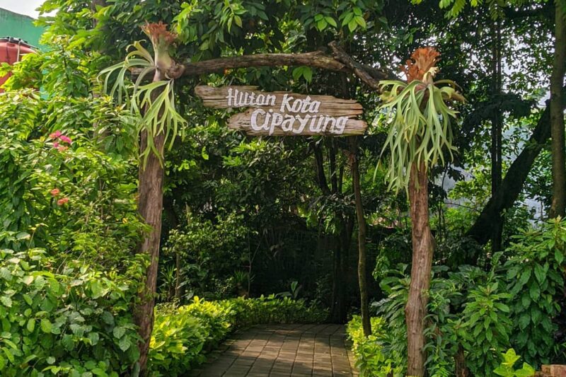 Hutan Kota Cipayung, Destinasi Alam Tersembunyi di Jakarta Timur – Where Your Journey Begins